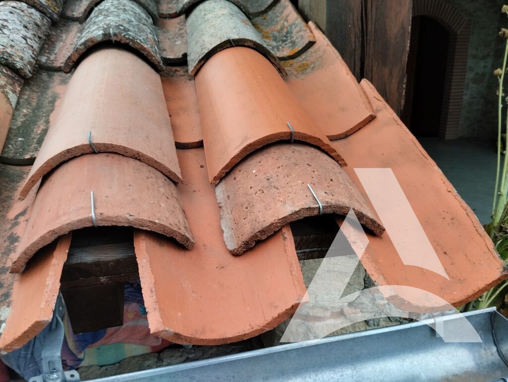 Mousse et moisissures traitées sur tuiles en terre cuite