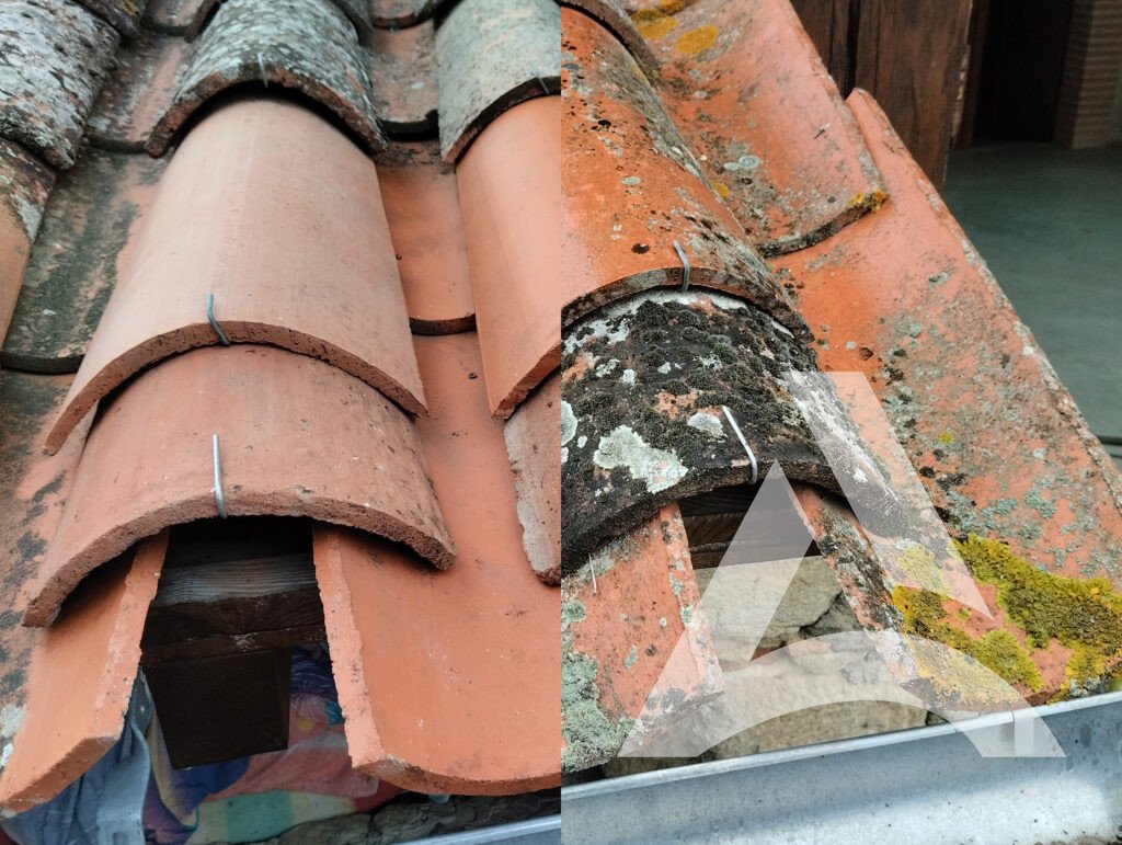 Avant Après d'un traitement sur tuile en terre cuite