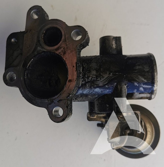 Boitier papillon avec de la graisse