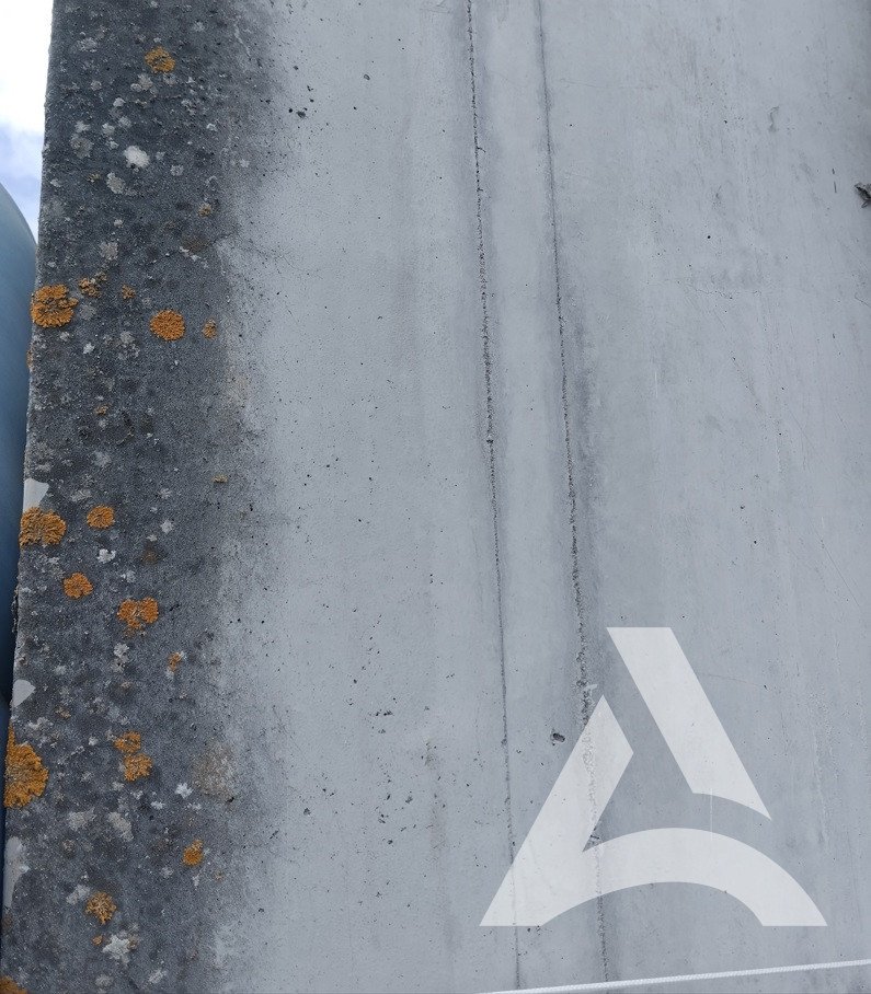 Photo avant nettoyage d'un mur avec lichen et mousse