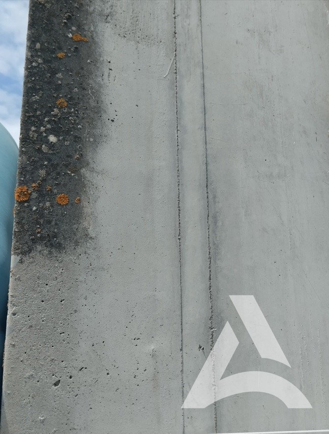 Nettoyage d'un mur en béton avec lichen et mousse