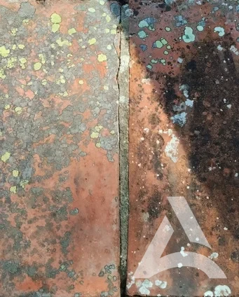 Chapeau de mur en terre cuite encrassé par mousses et lichens dans un cimetière