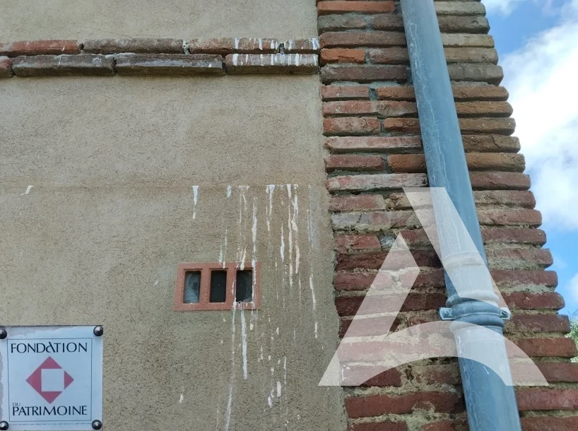 Fientes d’oiseaux sur crépi ancien d’un monument classé avant nettoyage