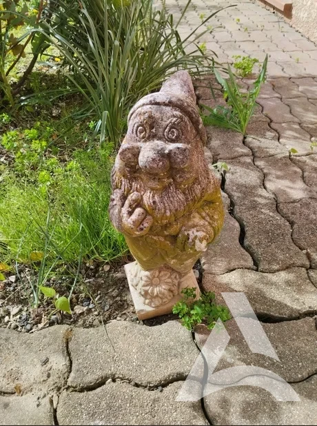 Décoration extérieure en ciment envahie par mousses et lichens avant nettoyage