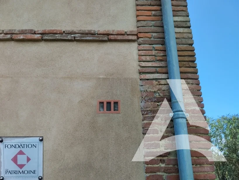 Crépi ancien nettoyé après suppression des fientes sur monument classé