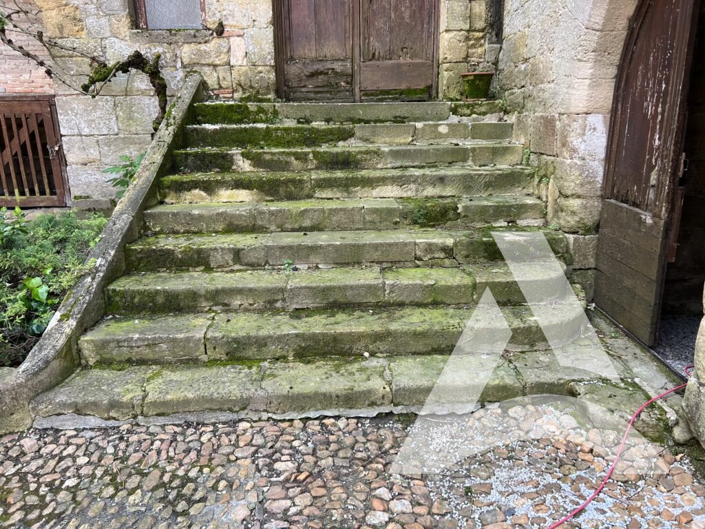 Escalier extérieur en pierre recouvert de mousses et lichens