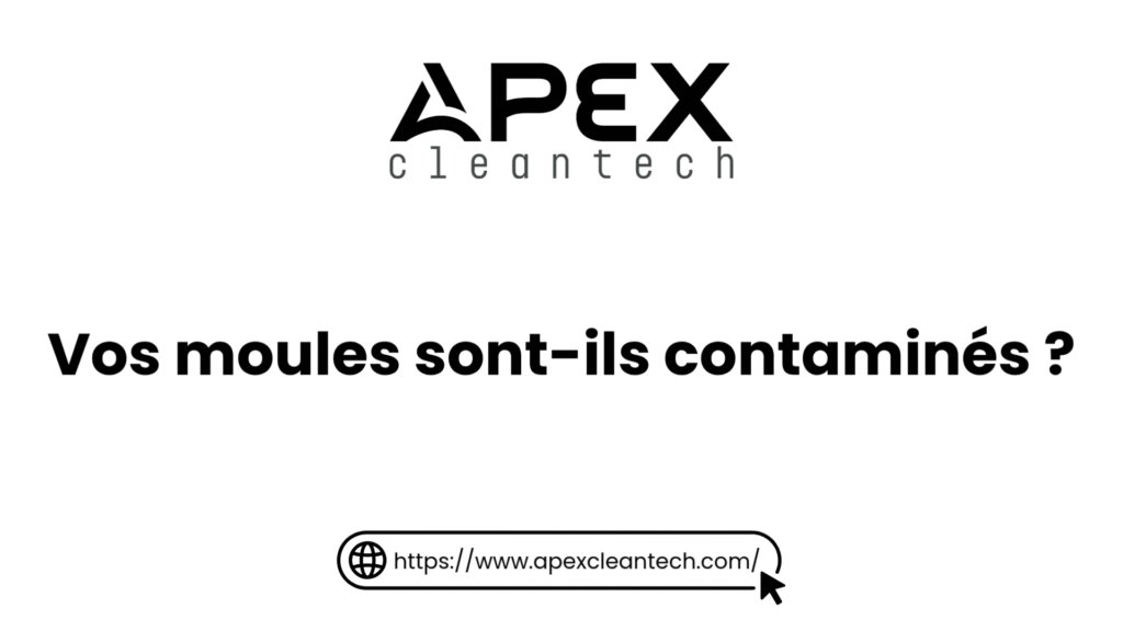 Vos moules sont-ils contaminés ?
